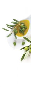 Olive Oil Partners - Prova de Azeite